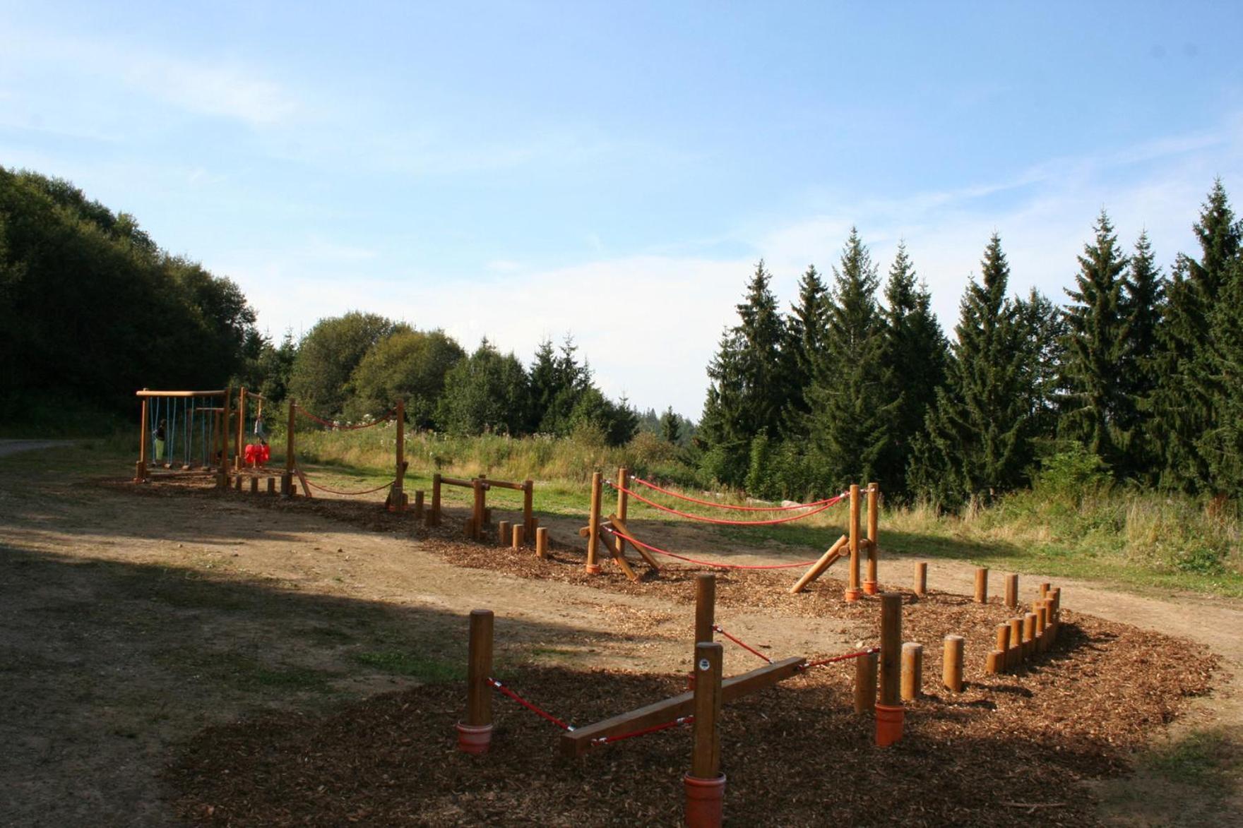 Spechtsboden C4- Hochwertige Ferienwohnung Mit 2 Schlafzimmer In Todtnauberg- Ski In And Ski Out, Feldberg מראה חיצוני תמונה